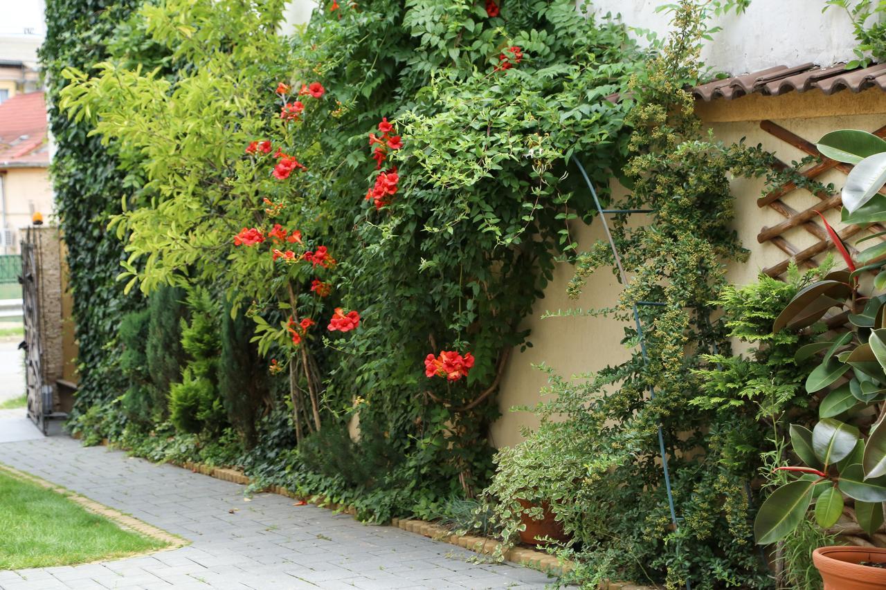 Oli House Hotel Alba Iulia Exterior photo